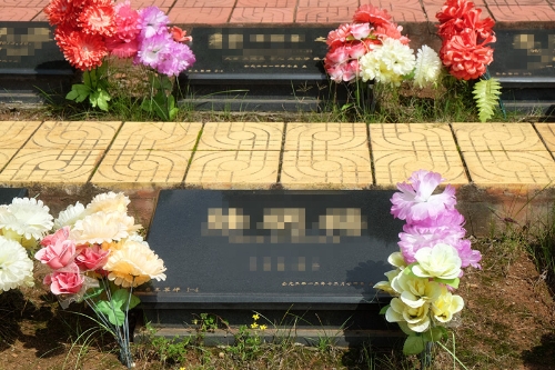 草坪_副本