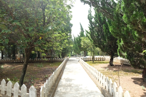 DSCF7715